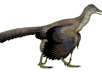 Fosil Burung Ekor Pendek Era Dinosaurus Ini Bisa Mengubah Sejarah Evolusi Burung