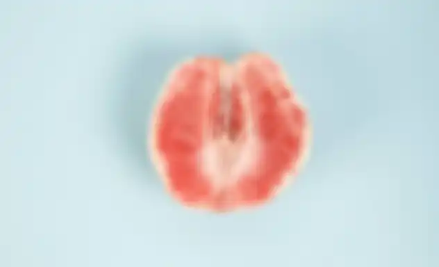 Ilustrasi vagina