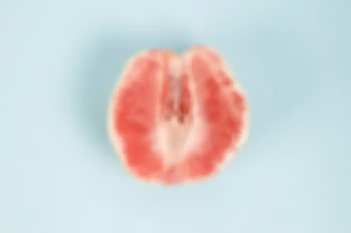 Ilustrasi vagina