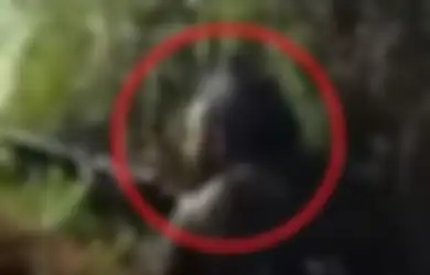 Sniper KKB Papua Merayap Ketakutan, Putus Asa Dihujani Peluru Aparat Kemaanan, Anggota Separatis Lari Terbirit-birit Usai Terkepung TNI-Polri di Hutan