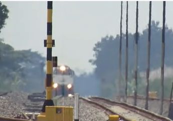 Cari Sensasi Bercinta di Atas Rel Kereta Api, Sejoli Ini Nyaris Tertabrak, Penjaga Jalan Lintasan Ungkap Kesaksiannya: Cara yang Bagus untuk Mati!