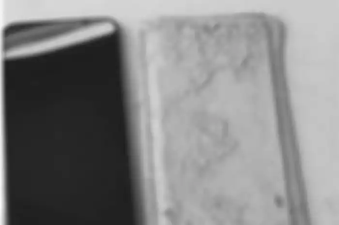 Perangkat iPhone milik Chen yang dilindungi waterproof case bisa bertahan selama setahun di sebuah danau.