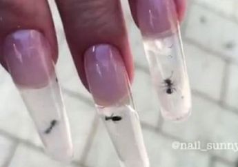 Unik! Seni Kuku dengan Semut Hidup di Dalamnya, Berani Mencoba?