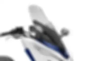 Cuma Main Warna dan Modal Windshield, Motor Honda PCX Berubah Jadi Forza 250