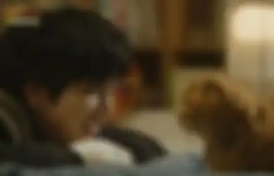 4 Info Drama Korea Bertema Pencinta Hewan. Cat Lovers Wajib Nonton!