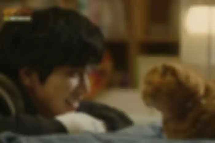 Imaginary Cat