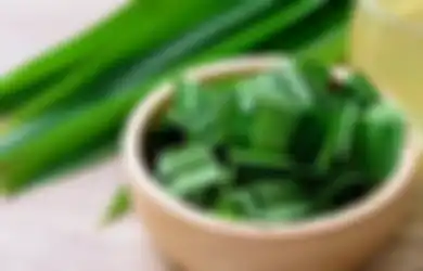 Aneka Tips Kesehatan, Air Rebusan Daun Pandan Ternyata Ampuh Obati Penyakit Mengerikan Ini