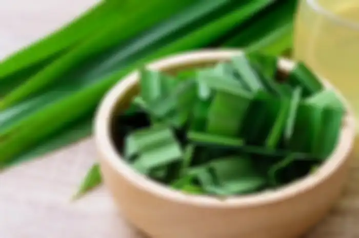 Aneka tips kesehatan, inilah sederet manfaat dari air rebusan daun pandan.