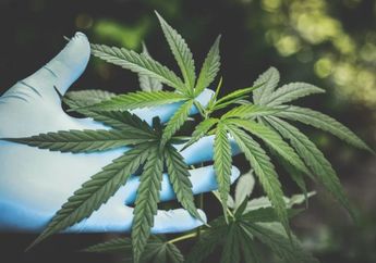 Pesulap Oge Arthemus Ditangkap Polisi karena Menyemai Ganja untuk Dikonsumsi