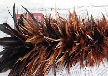 Agar Rumah Bisa Makin Terbebas dari Debu, Kebersihan Kemoceng Berbulu Juga Harus Diperhatikan! Begini Step by Step Membersihkannya