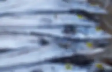 China Kapok Datangkan Lagi Produk Laut Impor dari Indonesia Lantaran Tempo Hari Paket Ikan Beku Terdeteksi Virus Corona