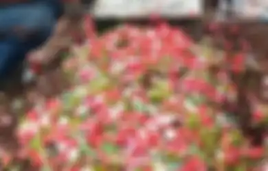 Sempat Sesak Nafas Sebelum Meninggal, Pemakaman Artis Senior Ini Sama Sekali Tak Dihadiri Rekan Sesama Selebritinya, Jenazahnya Malah Diantar Ratusan Sosok Ini