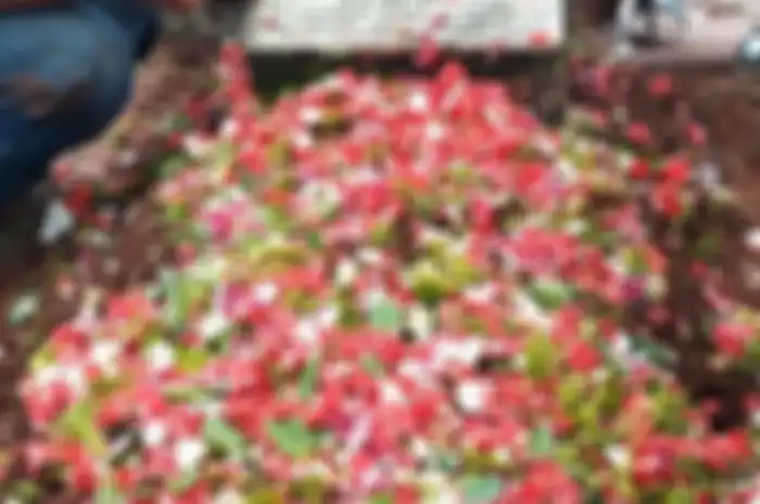 Makam Laila Sari