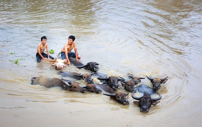 Arti mimpi berenang di sungai.