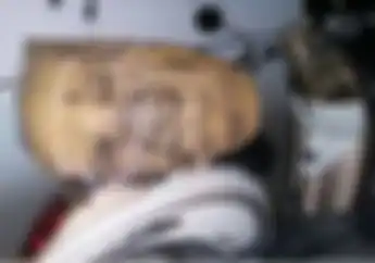 Heboh! Terungkap Motif Pembunuhan Gadis Cantik Dibungkus Kardus di Atas Honda Scoopy