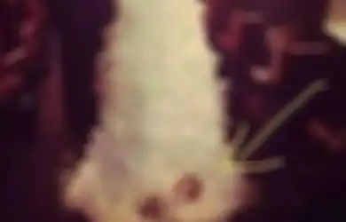 Fotonya Mendadak Viral, Sesosok Bayi Terlihat Terseret Diletakkan Bagian Bawah Gaun Pengantin, Wanita Ini Malah Beri Pernyataan Begini