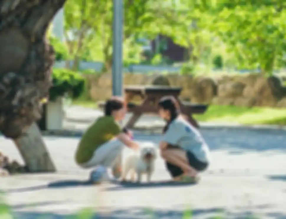 drama Korea Summer Strike atau I Don’t Feel Like Doing Anything