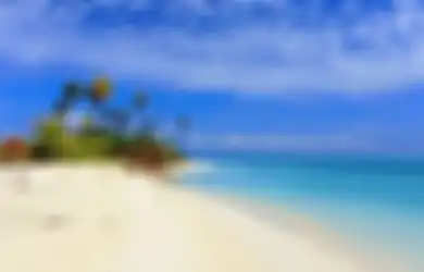 Hebohkan Publik, Pulau Tak Berpenghuni di Sulawesi Selatan Dijual dengan Harga Rp 900 Juta, Padahal Masuk Kawasan Taman Nasional, Begini Kata Polisi
