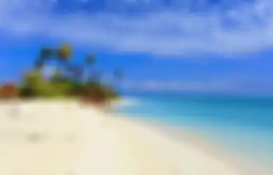 Hebohkan Publik, Pulau Tak Berpenghuni di Sulawesi Selatan Dijual dengan Harga Rp 900 Juta, Padahal Masuk Kawasan Taman Nasional, Begini Kata Polisi