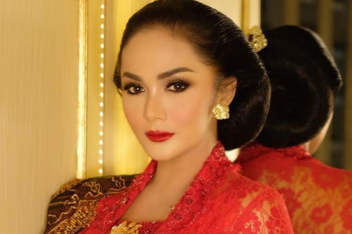 Krisdayanti menjabat sebagai anggota Komisi X DPR RI