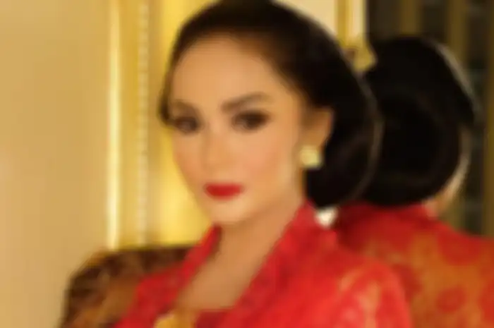 Krisdayanti menjabat sebagai anggota Komisi X DPR RI