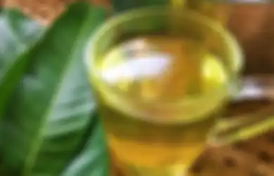 Aneka Tips Kesehatan, Tidak Hanya Buahnya Saja yang Favorit, Daun Mangga Bisa Diolah ini Ampuh Tangkal Penyakit Berbahaya