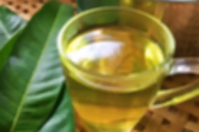 Air rendaman daun mangga ini ternyata bisa untuk kecantikan kulit kita