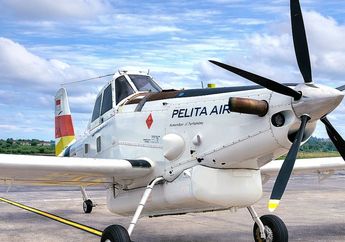 Kronologi Pesawat Pelita Air Jatuh di Nunukan, Saksi Lihat Asap Tebal saat Tragedi