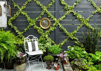 Tips Memilih Furnitur untuk Taman Kecil di Rumah, Bisa Tetap Estetik Tanpa Makan Banyak Tempat