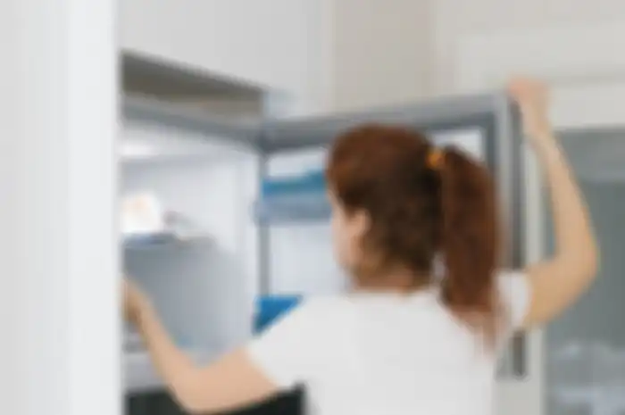 Ilustrasi freezer
