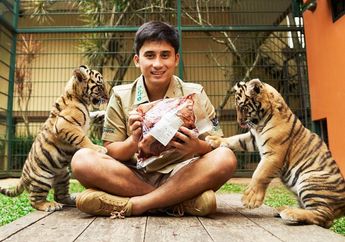 7 Harimau Alshad Ahmad Mati hingga Tuai Kecaman, Balai Besar KSDA Jabar Turunkan Tim untuk Penyelidikan