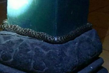 Porno aktrisalar ismlari royxati Porno lokomotiv