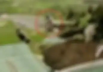 Video Rekor Lompatan Tertinggi dan Terjauh Pakai Motor Trail, Ngilu Lihatnya