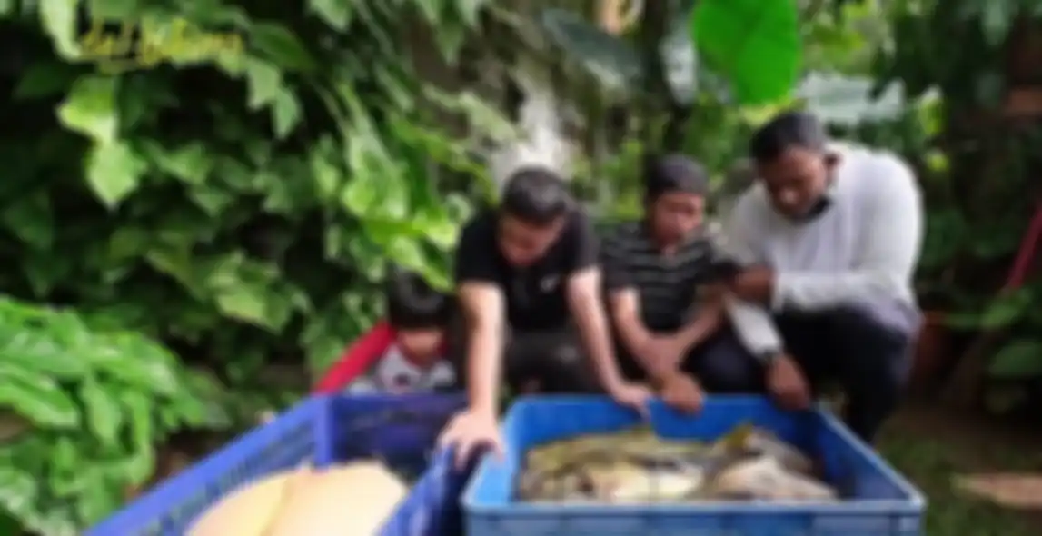 Puluhan ekor ikan Irfan Hakim mati.