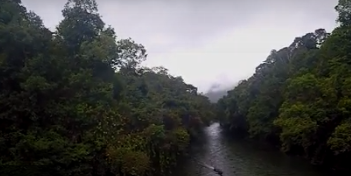 Tangkapan layar Taman Nasional Betung Kerihun TVRI.