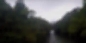 Tangkapan layar Taman Nasional Betung Kerihun TVRI.