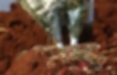 Serangan Jantung Renggut Nyawa Penyanyi Bersuara Merdu Ini, Makanan Murah Meriah ini Bisa Jadi Pemicu Utamanya 