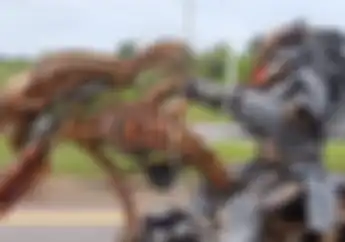 Mengerikan! Ada Penampakan Predator Lagi Jjs Dijalanan, Lihat Nih Video Lagi Riding Santai..
