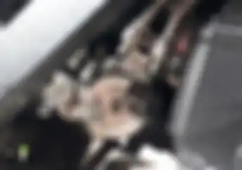 Haram.. Jangan Oleskan Gemuk ke Tali Kopling Atau Gas