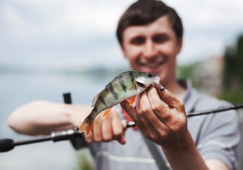 7 Arti Mimpi Menangkap Ikan, Pertanda Datangnya Rezeki hingga Fitnah