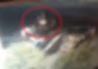 Maling Motor Sadis Serang Polisi Pakai Senjata Tajam, Langsung Terkapar Tak Bernyawa