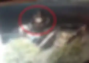Masuk Bulan Ramadhan Maling Merajalela Incar Motor di Parkiran, Begini Kata Polisi