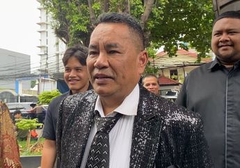 Tanggapi Vonis 9 Tahun, Hotman Paris Sebut Vadel Badjideh Salah Strategi dalam Kasus Asusila Anak di Bawah Umur