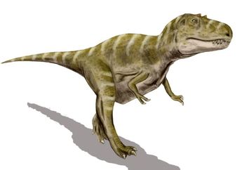Temuan Paha Dinosaurus Kecil dalam Perut Tyrannosaurus Muda Ungkap Perubahan Pola Makan