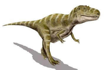 Temuan Paha Dinosaurus Kecil dalam Perut Tyrannosaurus Muda Ungkap Perubahan Pola Makan