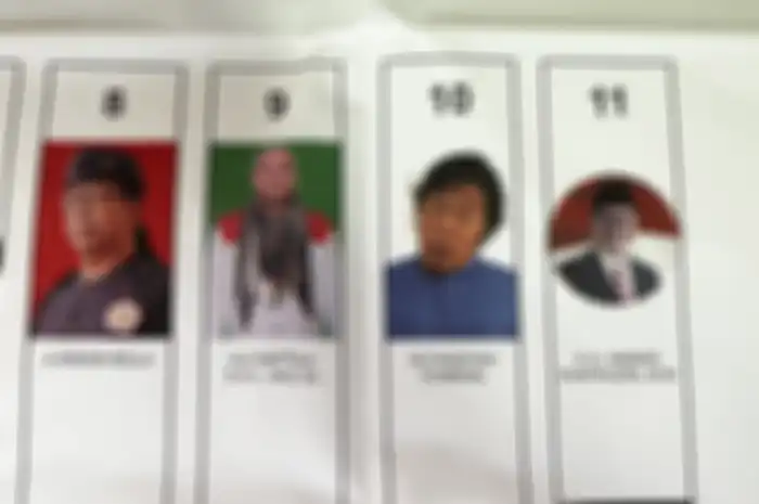 Komeng berhasil mencuri perhatian dalam pemilu 2024 ini.