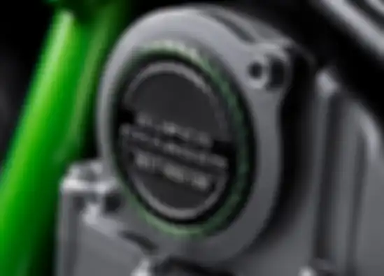 Ada emblem spesial menampilkan serial number motor