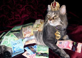 4 Shio Rezekinya Melejit di Bulan November 2023, Siap-siap Kaya Raya