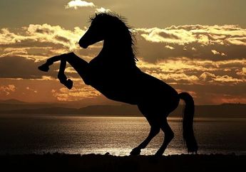 Banyak Dikode, Ini Ramalan Asmara untuk Shio Kuda di Tahun Kerbau Logam 2021, Ada yang Modus?