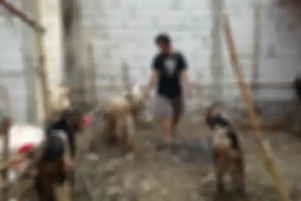 Salah satu mahasiswa yang berjualan hewan qurban di Pasar Slipi, Jakarta Barat, Fauzan saat ditemui pada Kamis (8/8/2019)